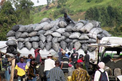 Goma-Vitshumbi : voyage au bout de l’angoisse