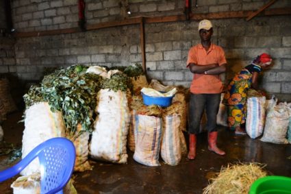 Covid-19 en RDC : le cercle vicieux de la contamination qui maintient l’épidémie