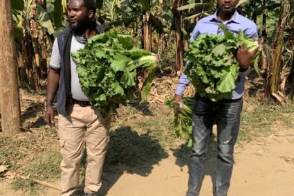 Quand la jeunesse congolaise cherche à redorer le blason terni de la République Démocratique du Congo dans l’agro-business.